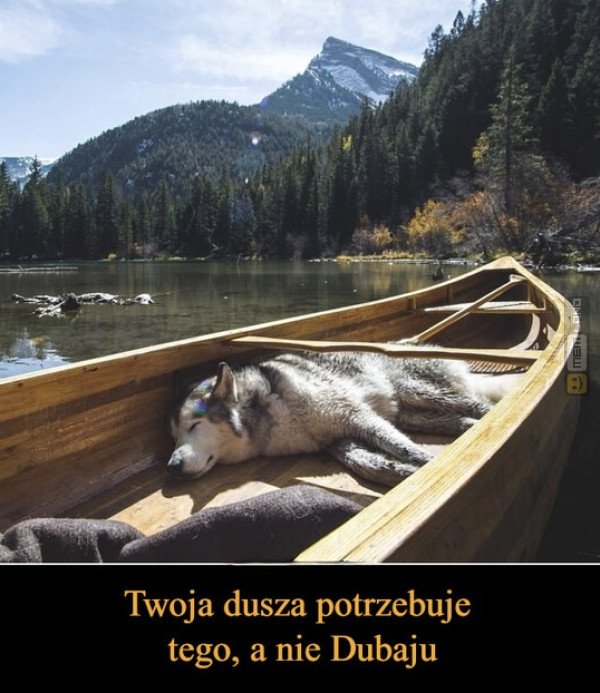 Śmieszny mem: 4675364 - MemLand