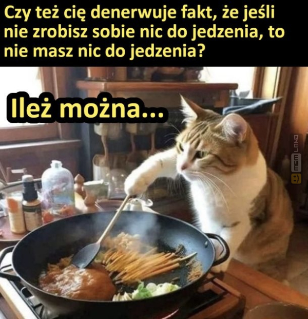 Śmieszny mem: 4678662 - MemLand