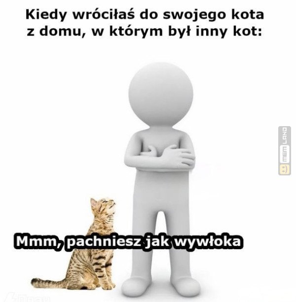 Śmieszny mem: 4683592 - MemLand