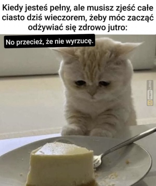 Śmieszny mem: 4688705 - MemLand