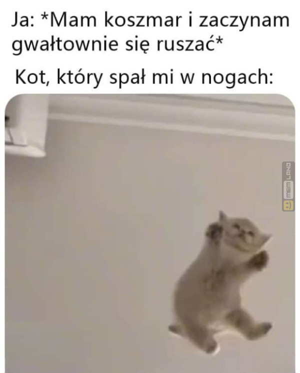 Śmieszny mem: 4692541 - MemLand