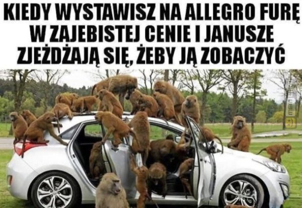 Śmieszny mem: 4694999 - MemLand