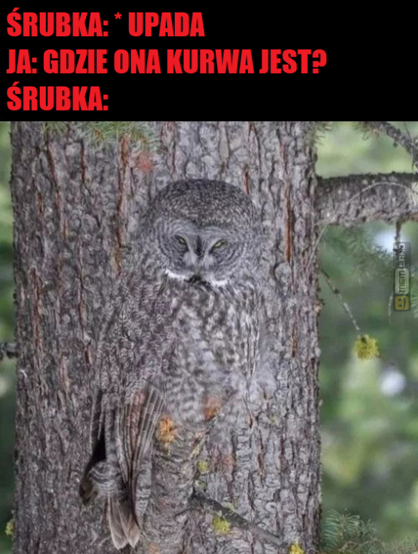 Śmieszny mem: 4697986 - MemLand