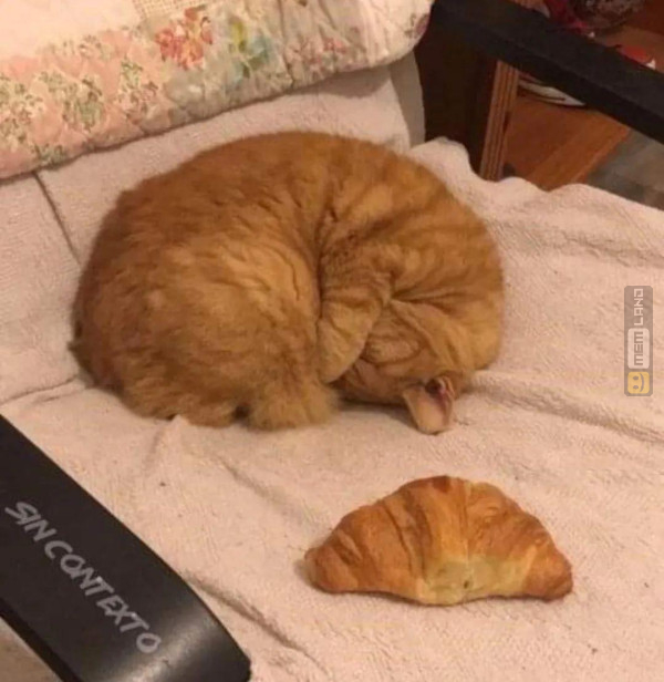 Śmieszny mem: 4699483 - MemLand