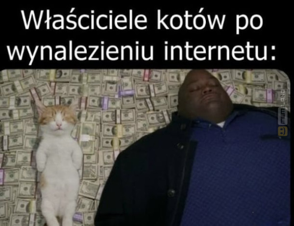 Śmieszny mem: 4700654 - MemLand