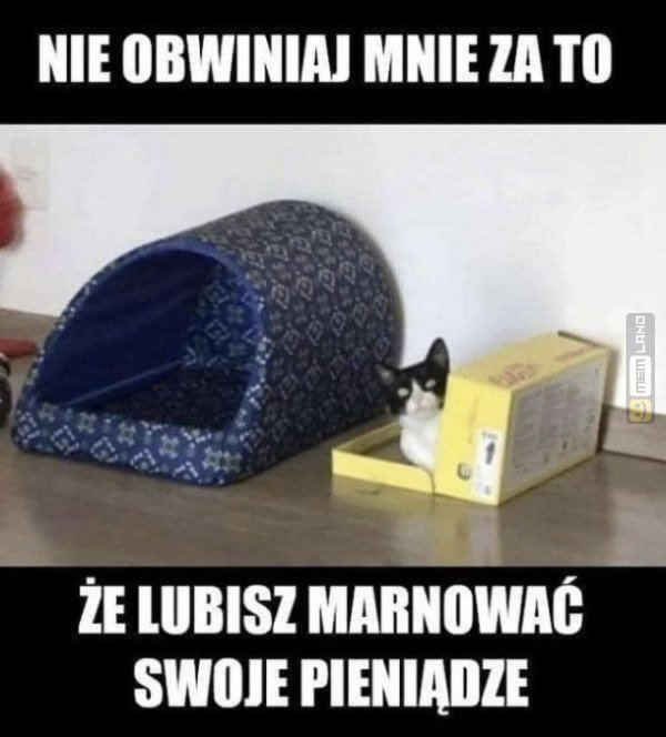 Śmieszny mem: 4703617 - MemLand