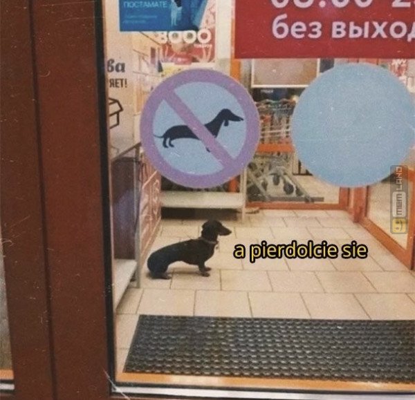 Śmieszny mem: 4714899 - MemLand