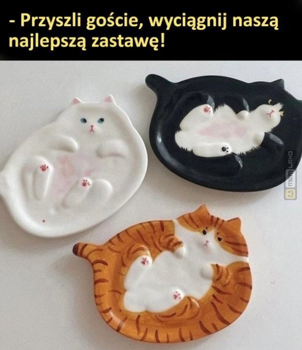 Śmieszny mem: 4722879 - MemLand