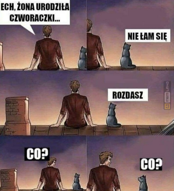 Śmieszny mem: 4731009 - MemLand