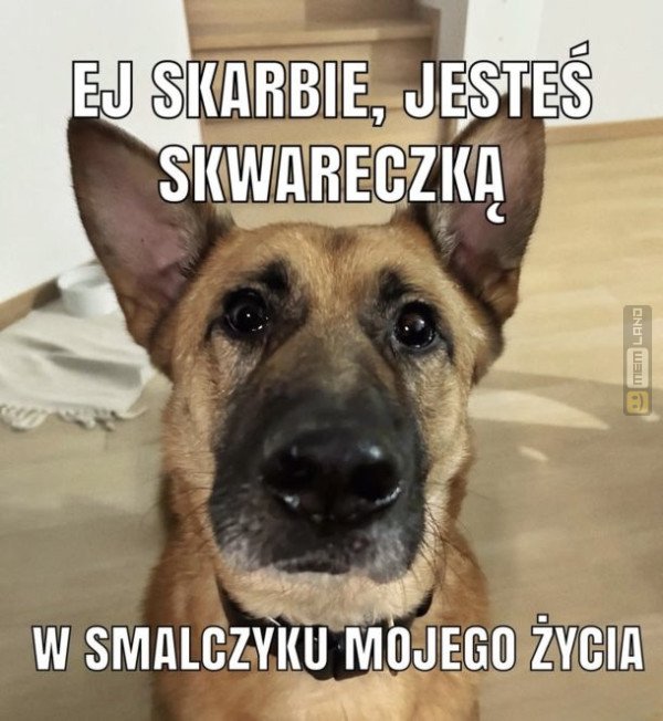 Śmieszny mem: 4731065 - MemLand