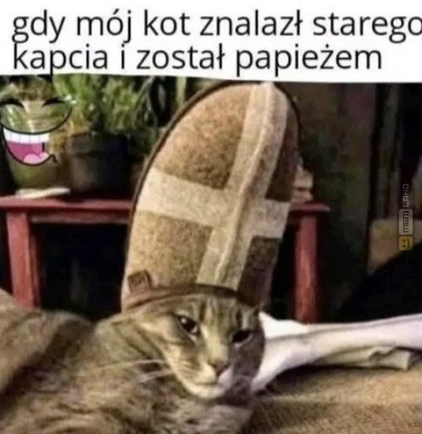 Śmieszny mem: 4731930 - MemLand