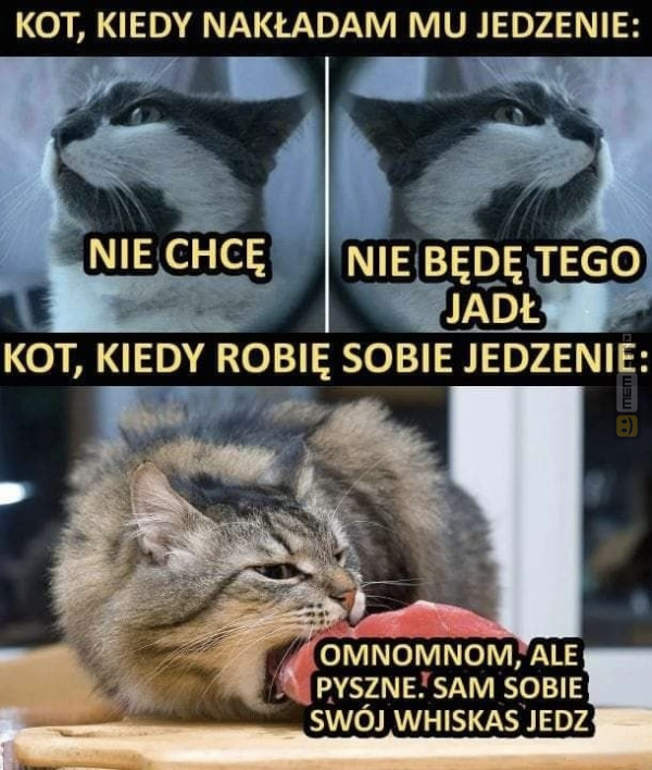 Śmieszny mem: 4733421 - MemLand