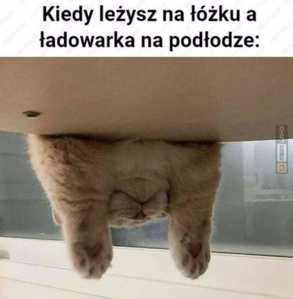 Śmieszny mem: 4735624 - MemLand