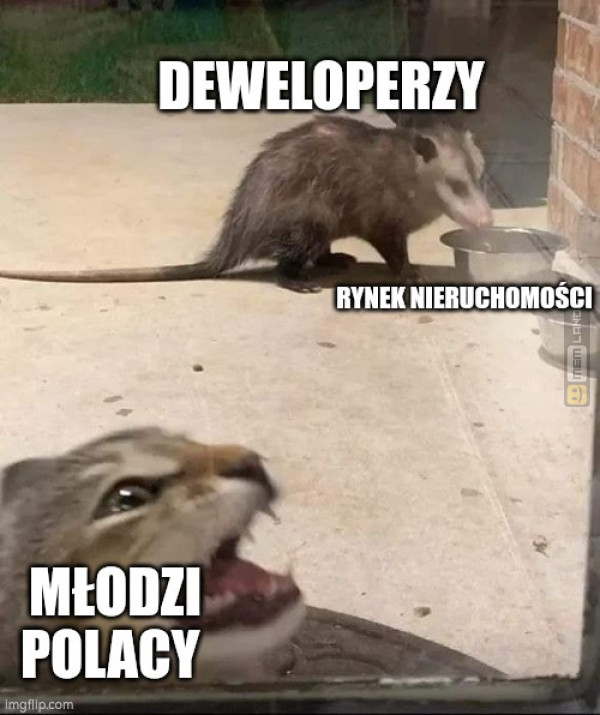 Śmieszny mem: 4736165 - MemLand