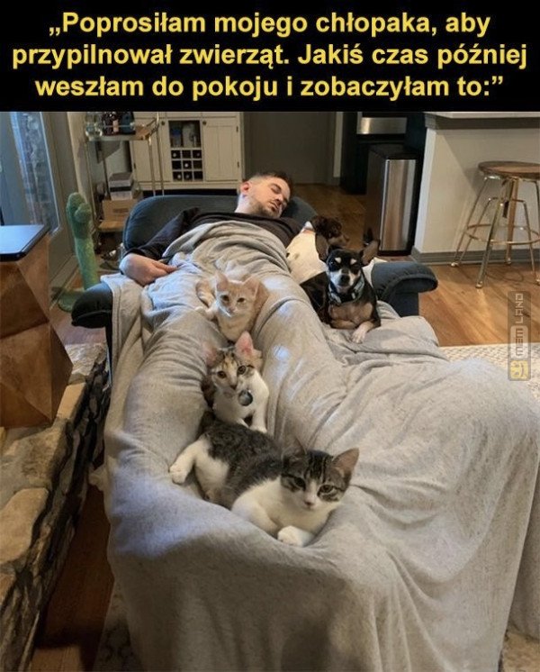 Śmieszny mem: 4740129 - MemLand
