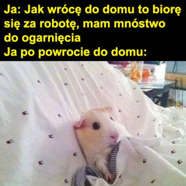 Śmieszny mem: 4741621 - MemLand