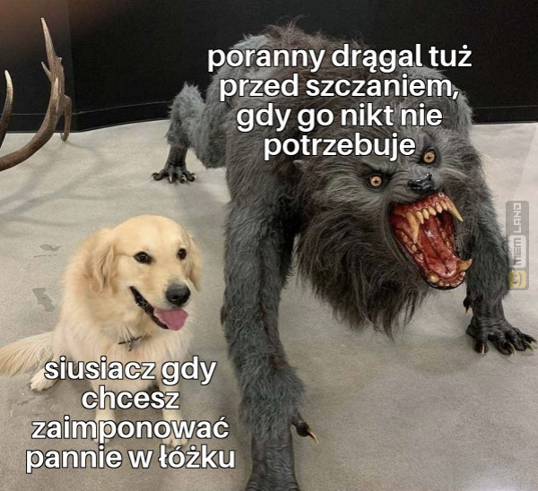 Śmieszny mem: 4743761 - MemLand