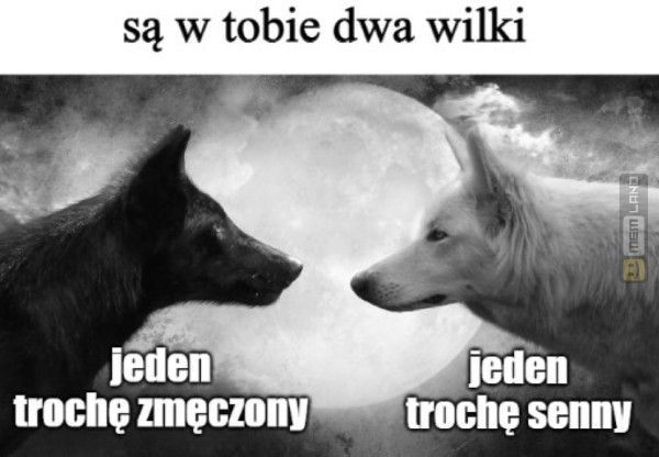 Śmieszny mem: 4747508 - MemLand