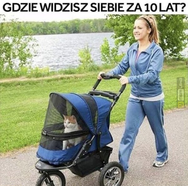 Śmieszny mem: 4755536 - MemLand