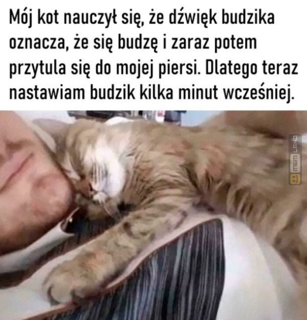 Śmieszny mem: 4772074 - MemLand