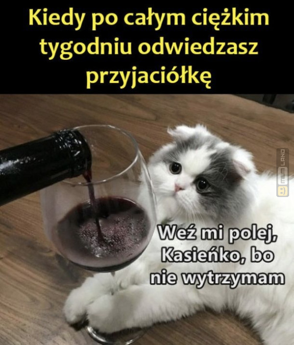 Śmieszny mem: 4784797 - MemLand