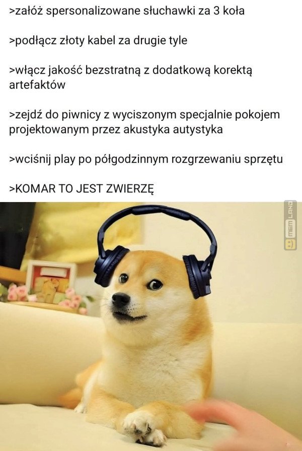 Śmieszny mem: 4787107 - MemLand