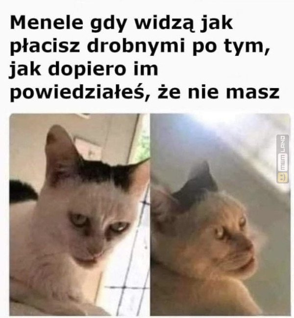 Śmieszny mem: 4789005 - MemLand