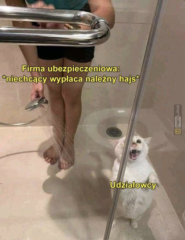 Śmieszny mem: 4792932 - MemLand
