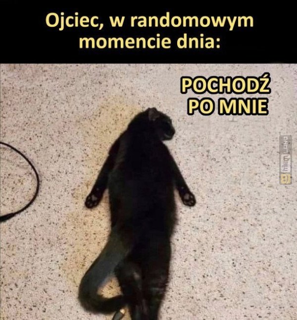 Śmieszny mem: 4796304 - MemLand