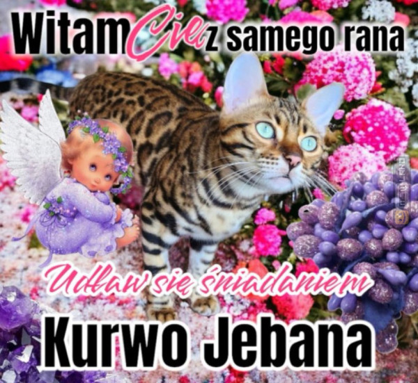 Śmieszny mem: 4797534 - MemLand