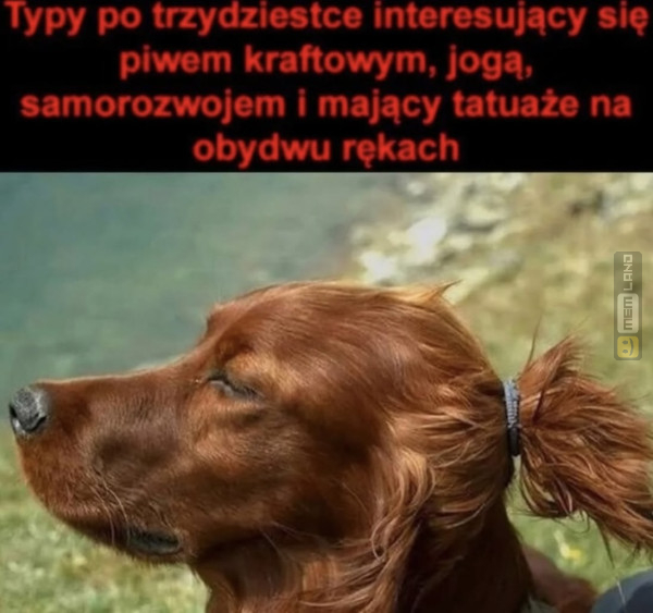 Śmieszny mem: 4801360 - MemLand