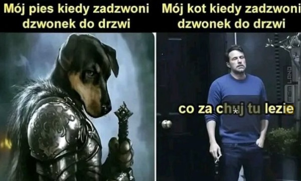 Śmieszny mem: 4807130 - MemLand