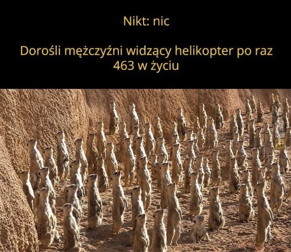 Śmieszny mem: 4811355 - MemLand