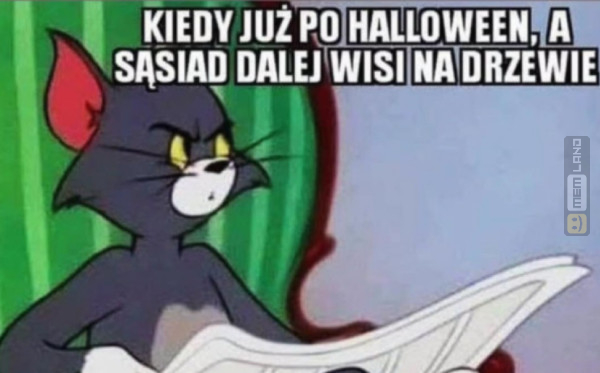 Śmieszny mem: 4816184 - MemLand