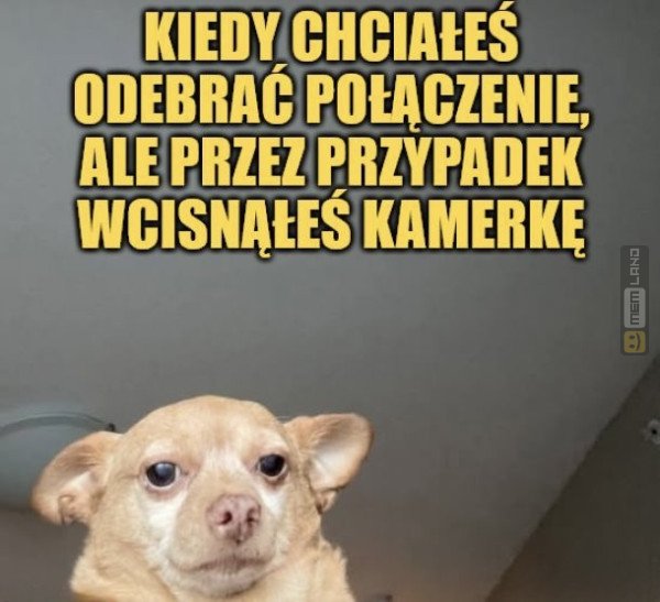 Śmieszny mem: 4822574 - MemLand