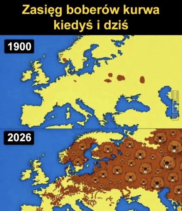 Śmieszny mem: 4827030 - MemLand