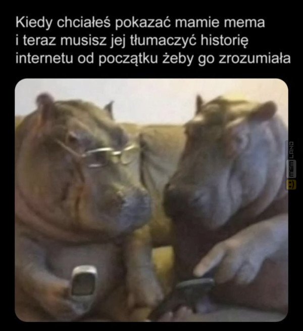 Śmieszny mem: 4836129 - MemLand