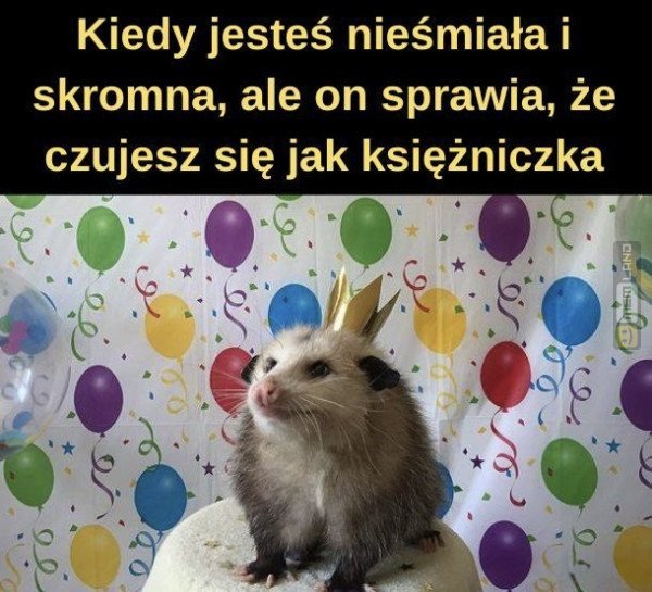 Śmieszny mem: 4841842 - MemLand