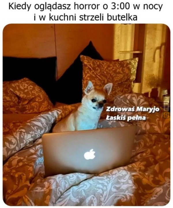 Śmieszny mem: 4851282 - MemLand