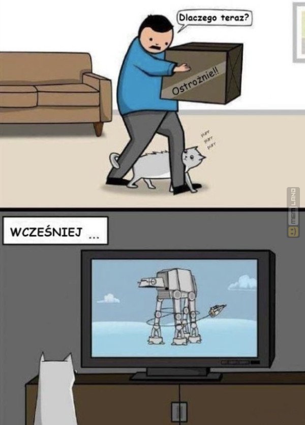 Śmieszny mem: 4859584 - MemLand