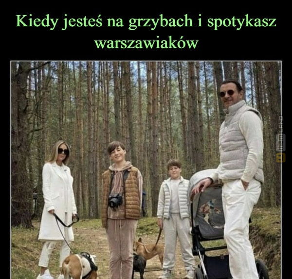 Śmieszny mem: 4862839 - MemLand