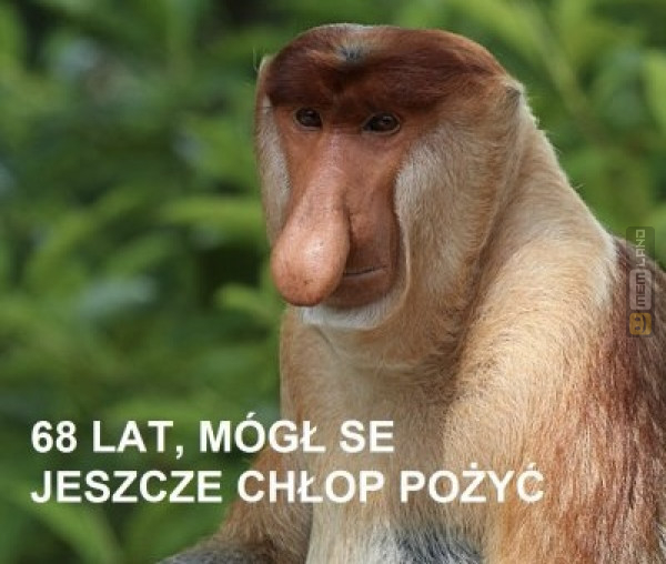 Śmieszny mem: 4869323 - MemLand