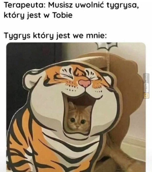 Śmieszny mem: 4869562 - MemLand