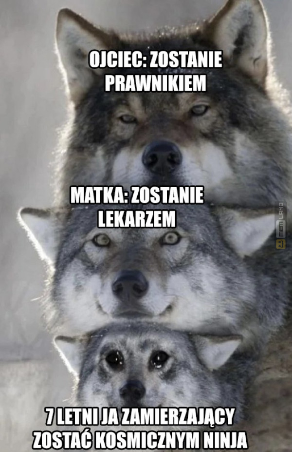 Śmieszny mem: 4882567 - MemLand