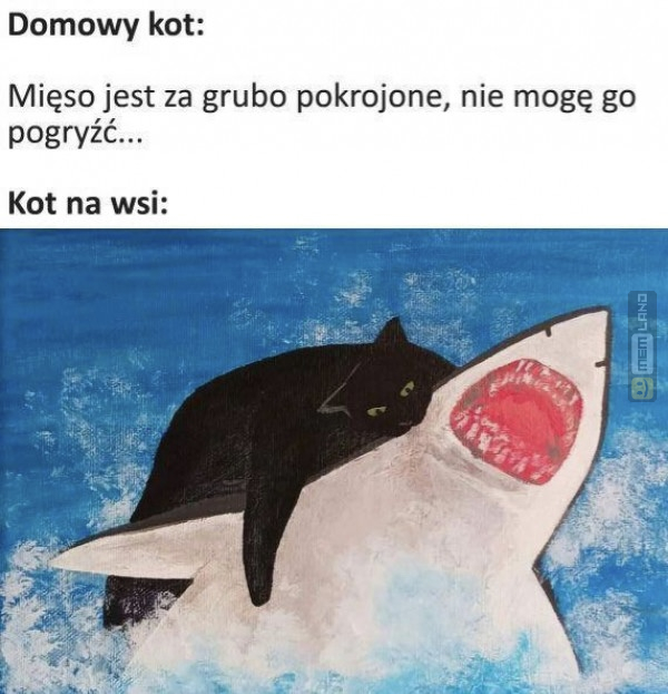 Śmieszny mem: 4883802 - MemLand