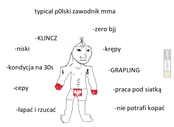 Śmieszny mem: 4889709 - MemLand