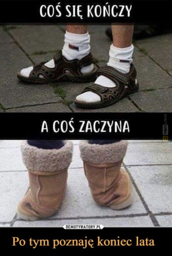 Śmieszny mem: 4889741 - MemLand