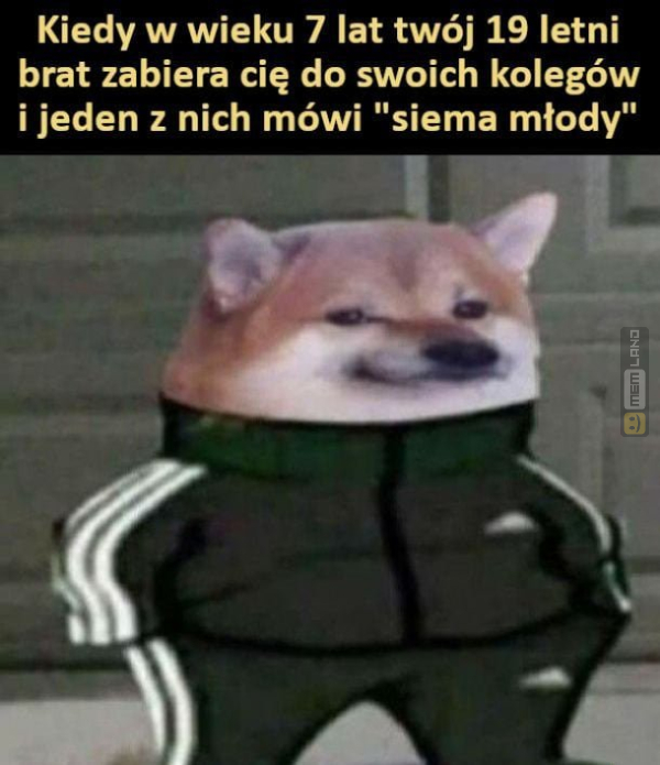 Śmieszny mem: 4899308 - MemLand