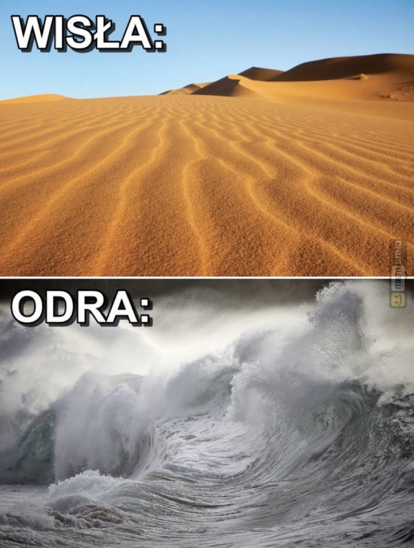 Śmieszny mem: 4903330 - MemLand