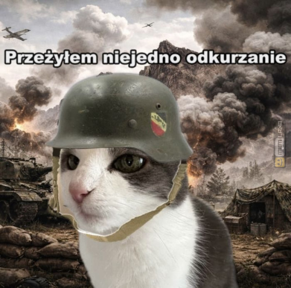 Śmieszny mem: 4921699 - MemLand